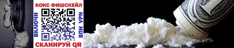 Купить закладки  Дмитровск  Cocaine 99% 